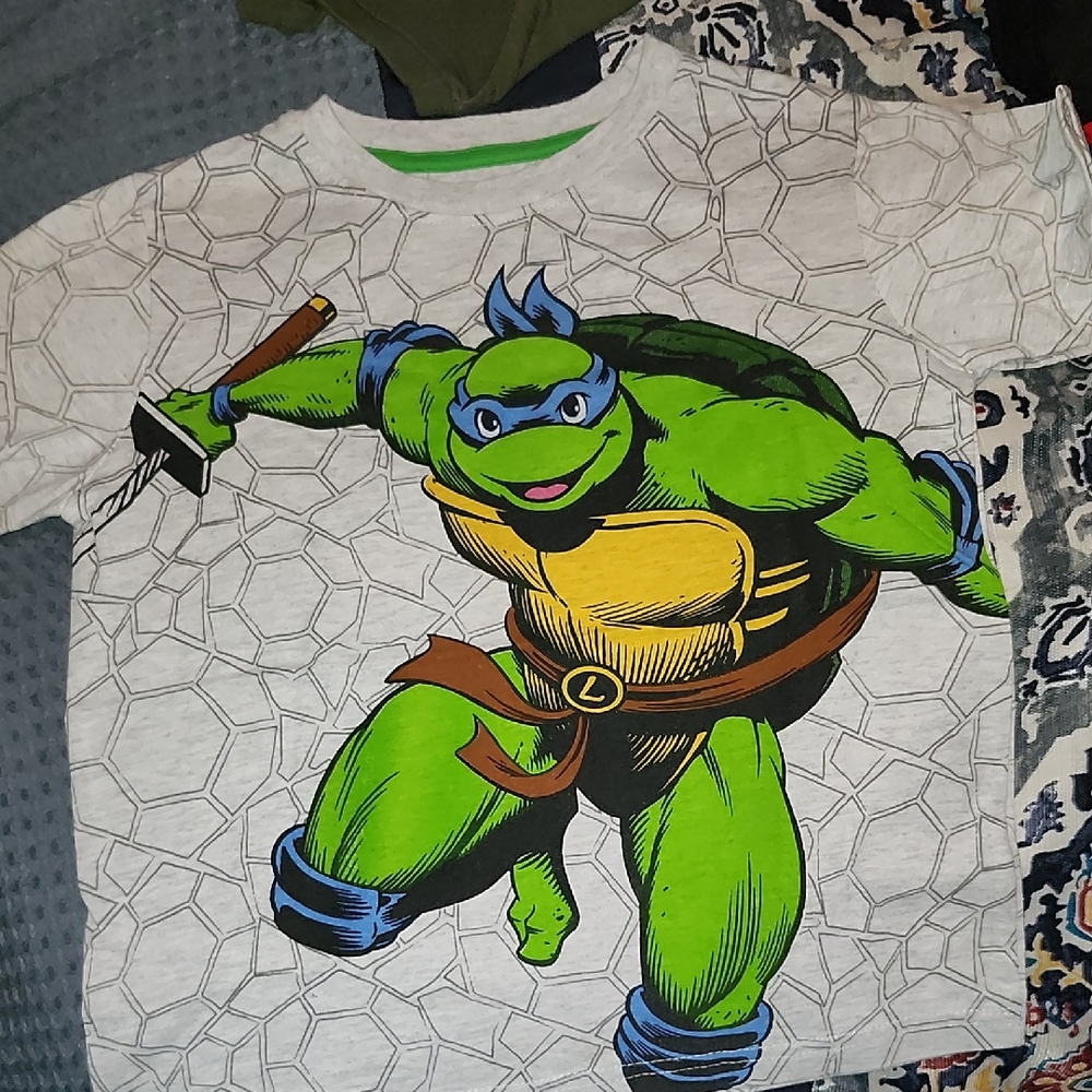 Teenage Mutant Ninja Turtles Graphic Tee